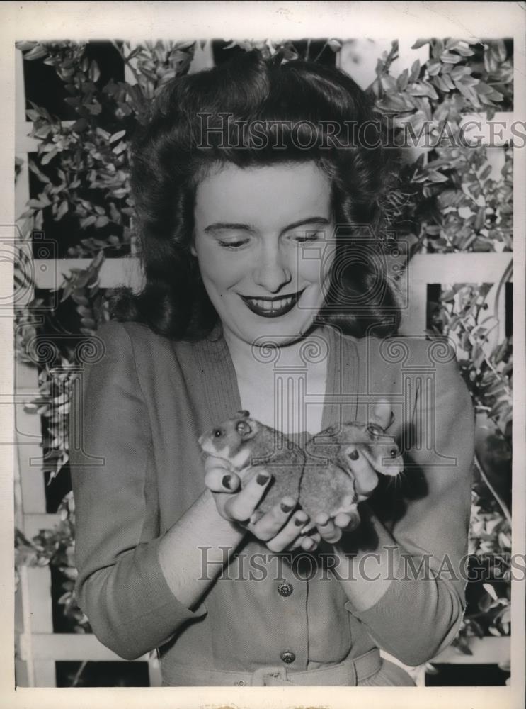 1943 Press Photo Beth Picker of St Louis holds hamsters tested for drugs &amp; serum - Historic Images