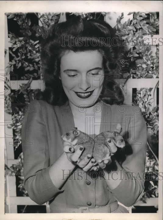 1943 Press Photo Beth Picker of St Louis holds hamsters tested for drugs & serum - Historic Images