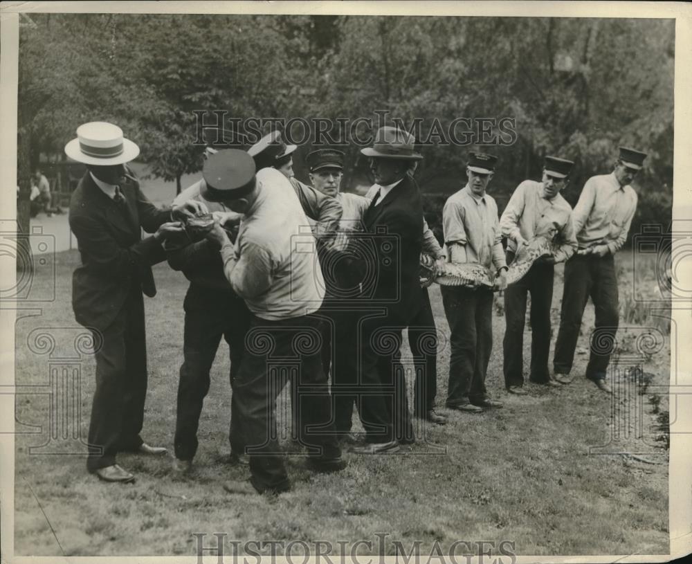 1929 Press Photo Philadelphia Zoo Gets 25 Ft Long Python Historic Images 1929 press photo philadelphia zoo gets 25 ft long python historic images
