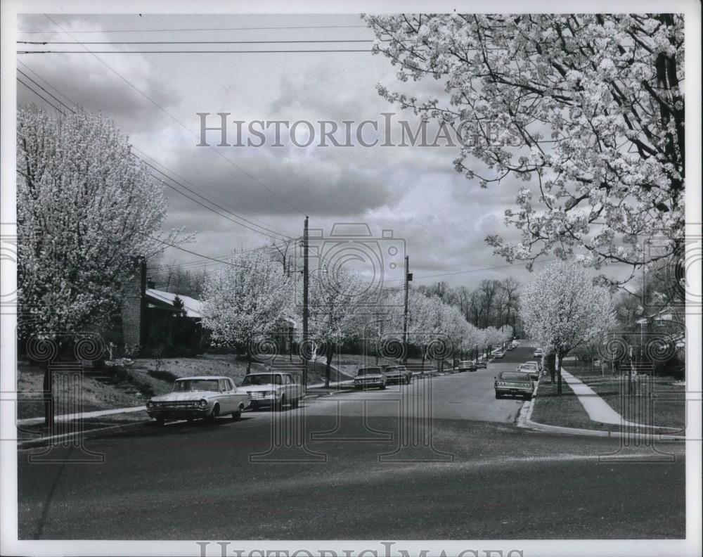 1969 Press Photo Landscaping - nec06503 - Historic Images