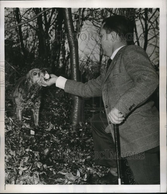1946 Press Photo Scarborough, NY Raymond Loetus & dog Taffy, fetches golf balls - Historic Images