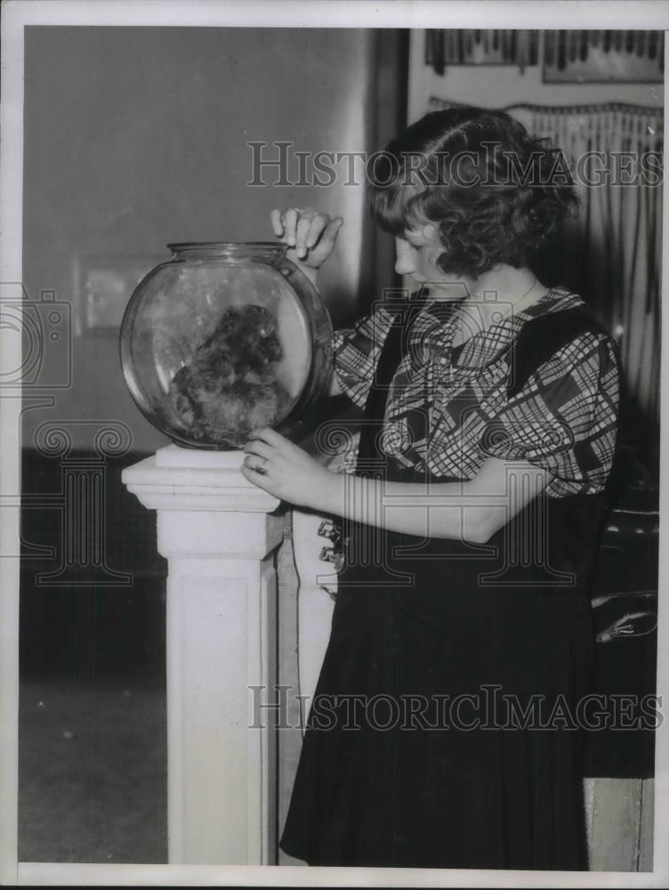 1934 Press Photo Miss Loria Ludlow and Her Toy Peke &quot;Woo Sing&quot; in Fish Bowl - Historic Images