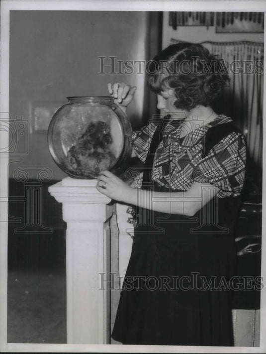 1934 Press Photo Miss Loria Ludlow and Her Toy Peke "Woo Sing" in Fish Bowl - Historic Images