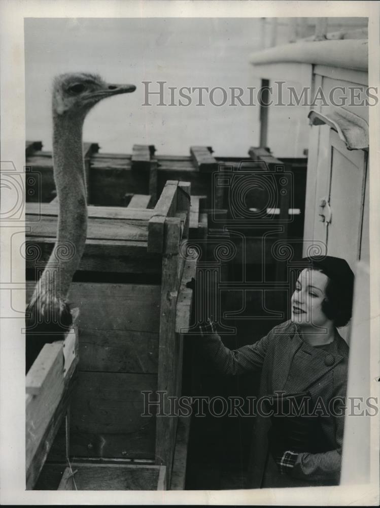 1935 Press Photo Bernice Blance provides comort to an ostrich - Historic Images