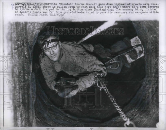 1957 Press Photo Seattle, Wash. Mt Rescue worker Darrell Loof & duck in well - Historic Images