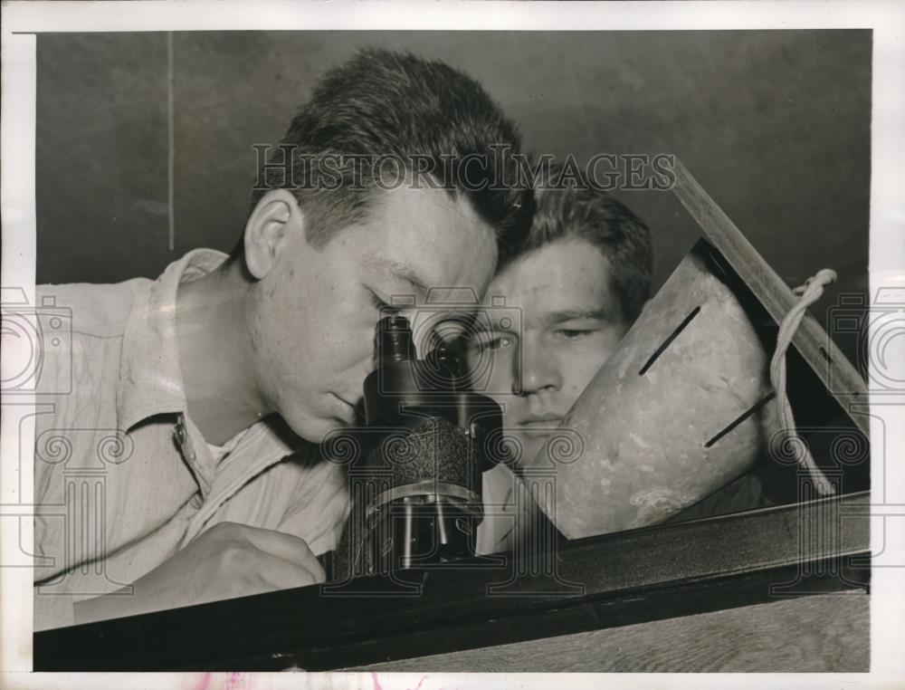 1943 Press Photo Robert Lee Uses Microscope To Examine Malarial Mosquito - Historic Images