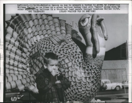 1960 Press Photo 5yr old Hillman Taylor blows up a giant balloon turkey - Historic Images