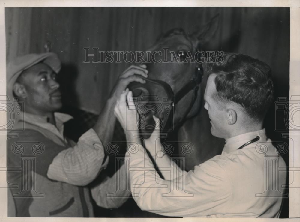 1939 Press Photo Dr. J. Thomas checks the mouth of &quot;Perfect Peace&quot; for sponging - Historic Images