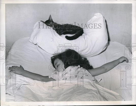 1948 Press Photo Susie's Kitten Sleeps on Pillow Every Night - Historic Images