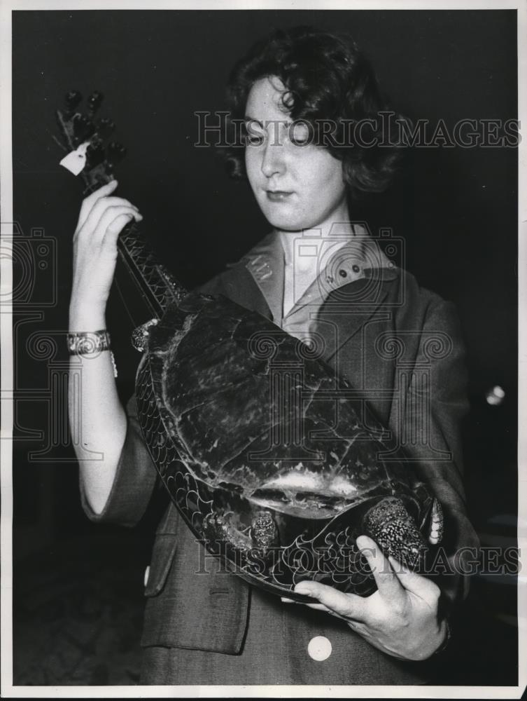 1960 Press Photo Shello 17th century guitar displayed in Paris, France - Historic Images