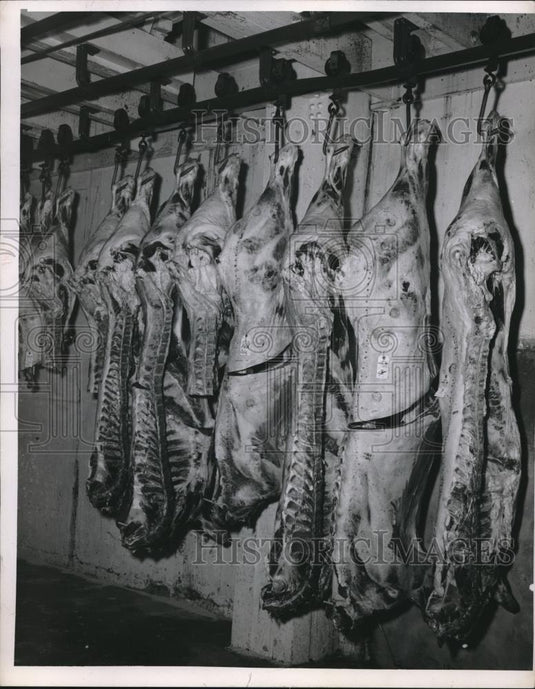 1951 Press Photo Sides Of Beef Hang In Cooler - Historic Images
