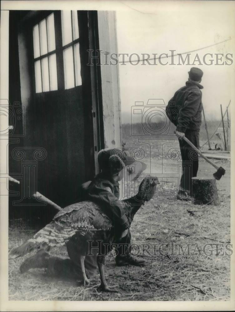 1955 Press Photo Douglas Legler at Age 8 Protects Turkey from Dad, Gustav - Historic Images