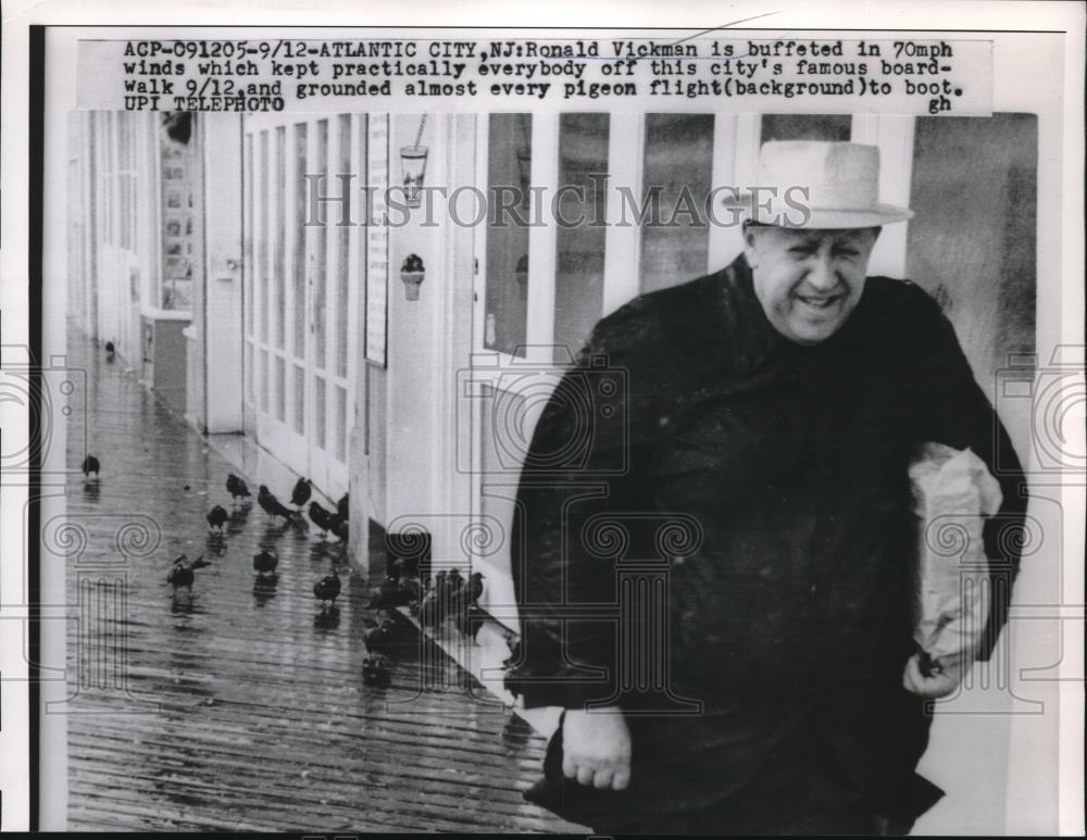 1950 Press Photo Ronald Vickman Grounded Pigeon flight - Historic Images