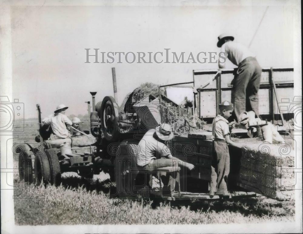 1944 Press Photo Howard Austen Family Bailing Hay on Their California Farm - Historic Images