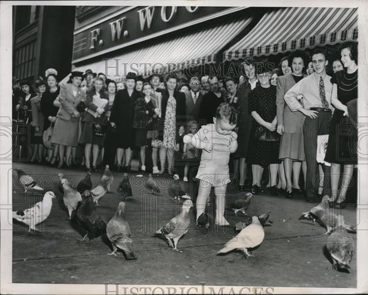 1947 Press Photo 16 month old Michael Gillespie playing w/ pigeons - Historic Images