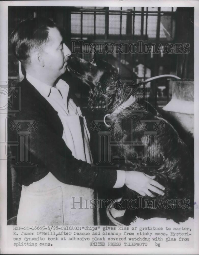 1953 Press Photo Dog Chips Gives Kisses TO Master James O&#39;Neil After Rescue - Historic Images