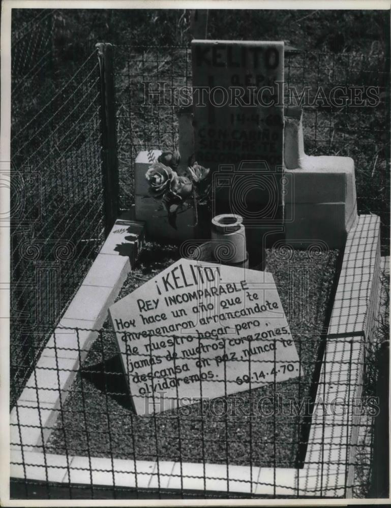 1971 Press Photo Buenos Aires Grave at Dog Cemetary Kelitol Incomparable King! - Historic Images