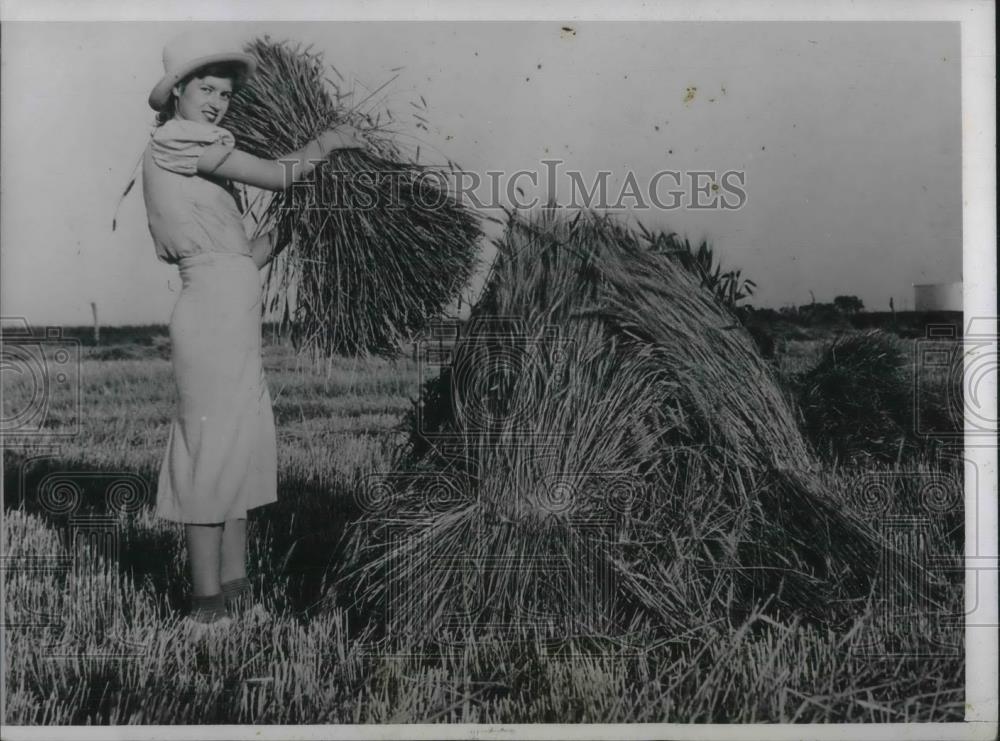 1938 Press Photo Velma Graham Helps Harvest Wheat On Fathers Farm Near Wichita - Historic Images
