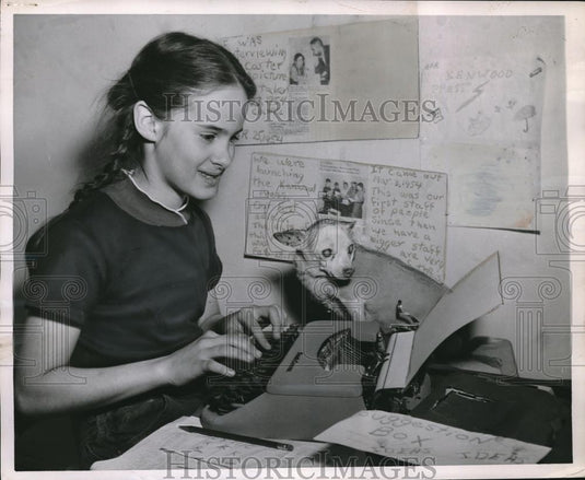 1954 Press Photo "Tequila" Pet Chihuahua of Editor Andres Eiger Kenwood Press - Historic Images
