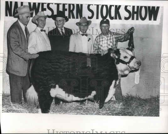 1957 Press Photo 1050 pound grand champion steer. Naional Western Stock show. - Historic Images