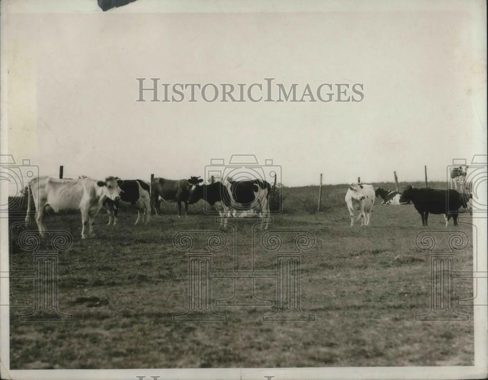 1932 Press Photo J.C Aldrich Dairy farm - Historic Images