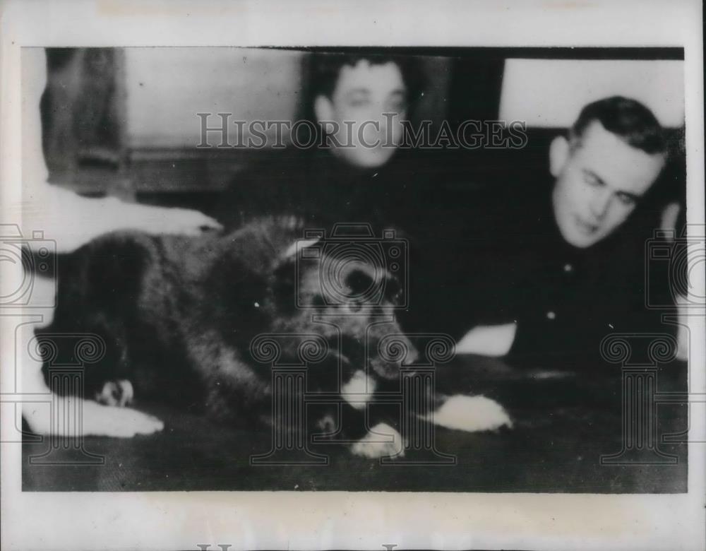 1938 Press Photo Rescued Scientist &amp; Expedtion&#39;s Dog - Historic Images