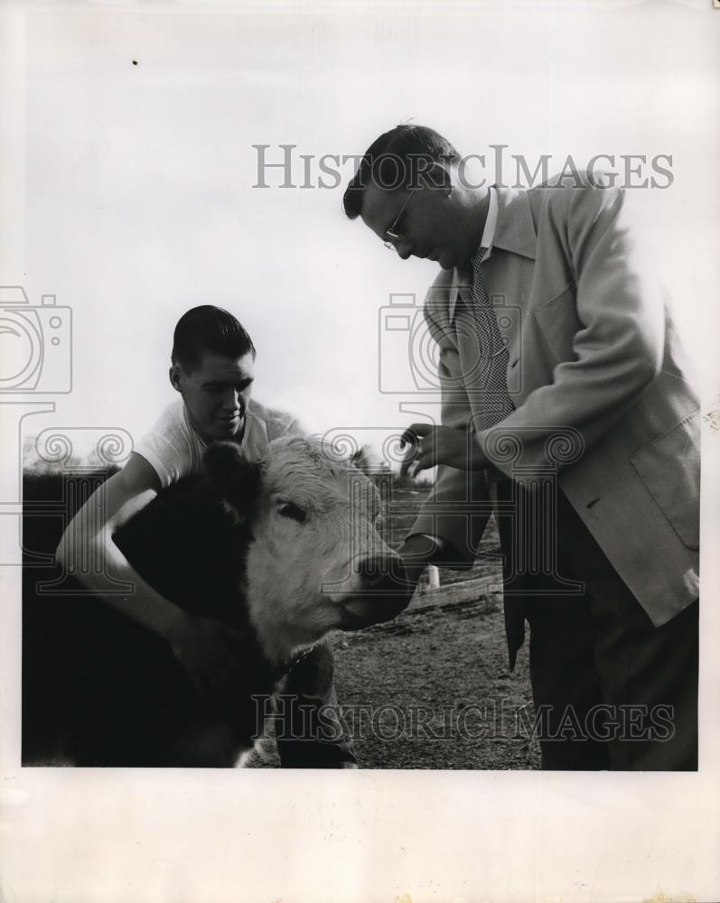 1952 Press Photo George Gibson &amp; Chuck Take Care Of Cattle On Farm - nec39674 - Historic Images