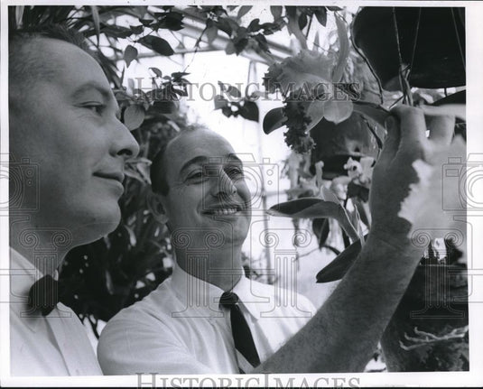 1966 Press Photo Stanley Burlage & Harland Sherman look at Orchid at New Garden - Historic Images