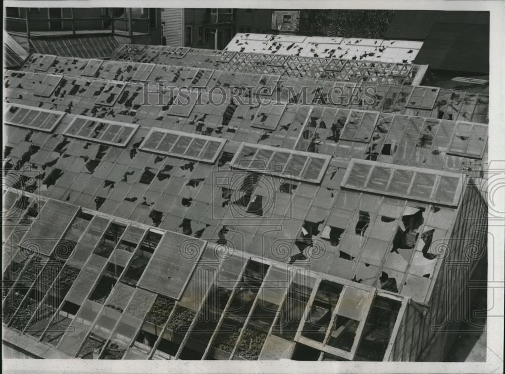 1934 Press Photo Damage done to a Milwaukee greenhouse by a hail storm - Historic Images