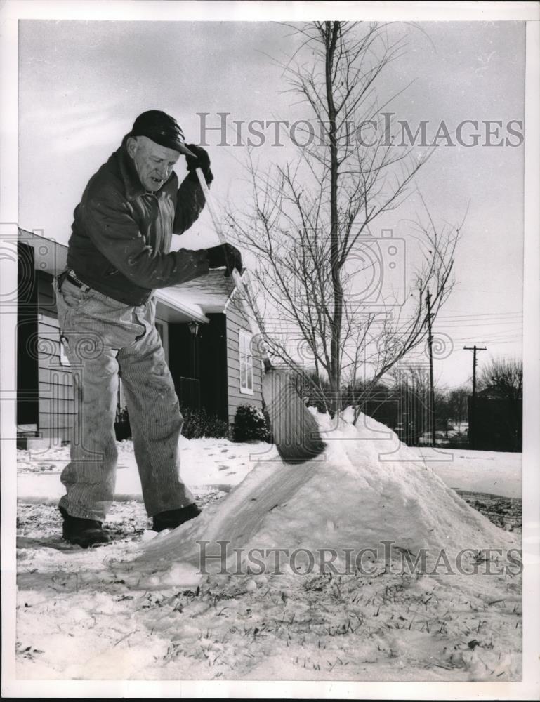 1956 Press Photo Long cold drink for a tree - nec33428 - Historic Images