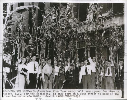 1947 Press Photo American Legion convention & parade in NYC - Historic Images