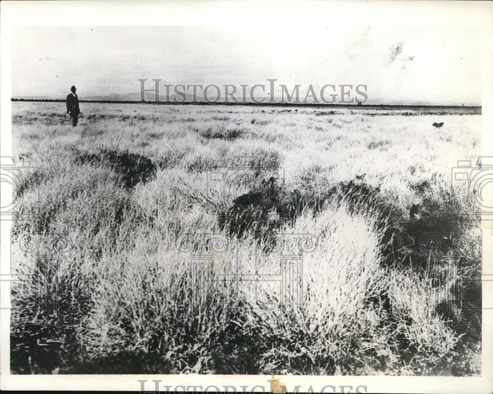 1934 Press Photo Remnant of the Tobosa Grass Flat in Arizona and and New Mexico. - Historic Images