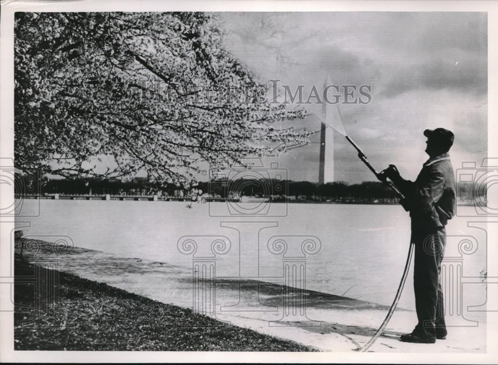 1953 Press Photo J. Conway Smith employee of National Capital Parks. - Historic Images