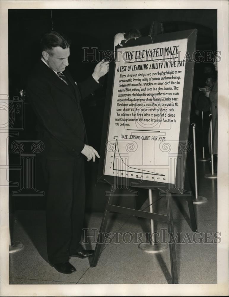 1940 Press Photo Dr. G. Kingsley Noble, Curator, American Museum Natural History - Historic Images