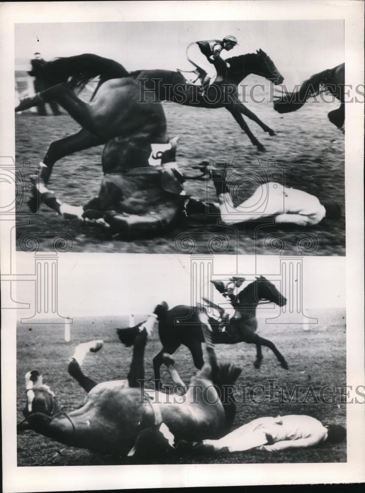 1950 Press Photo Jockey J.P. Woods thrown from horse in the Novices&#39; Hurdle Race - Historic Images