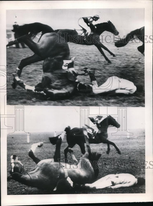 1950 Press Photo Jockey J.P. Woods thrown from horse in the Novices' Hurdle Race - Historic Images