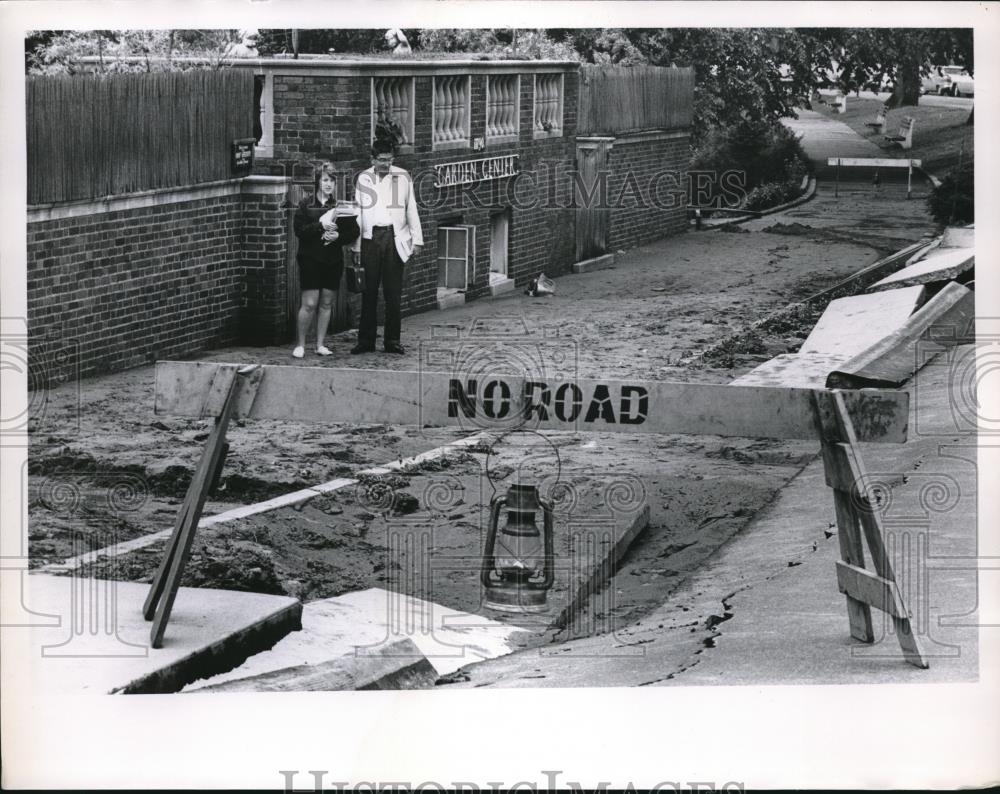 1962 Press Photo garden center damage - Historic Images