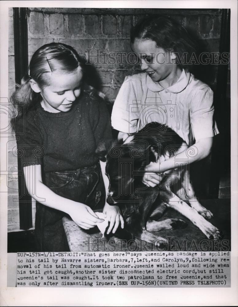 1952 Press Photo Girls hold injured dog - Historic Images