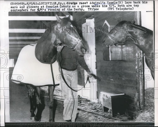1962 Press Photo Race Horses Admiral's Voyage and Sunrise County, Louisville - Historic Images