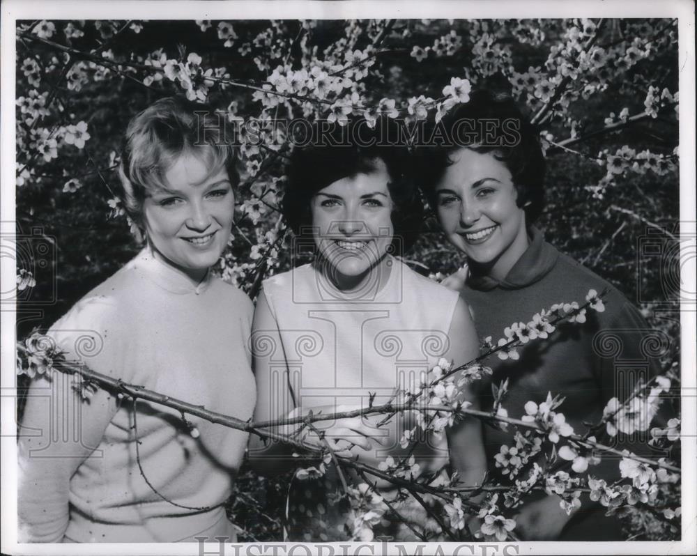 1962 Press Photo Mary B Roy,Pam Powell,Joan Yale Ill Univ. coeds - nec37179 - Historic Images