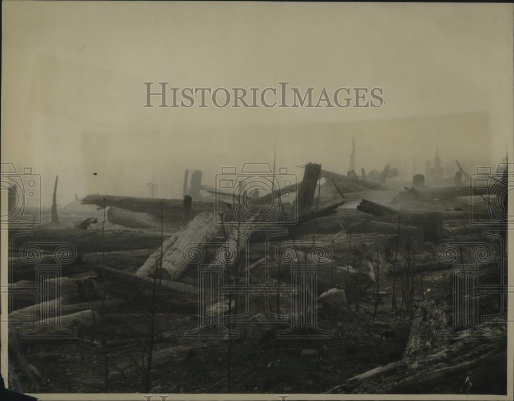 1922 Press Photo Smoldering Remains in Path of Oregon Forest Fire - Historic Images