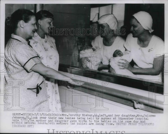 1955 Press Photo Chicago, Mrs D Niebur, Mrs D Johnson & newborn babies - Historic Images