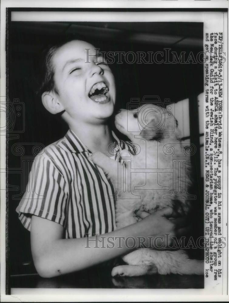 1960 Press Photo David Watson with puppy during visit to ASPCA shelter - Historic Images