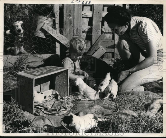 1948 Press Photo father Smith and son Collier with pointer pups - nec43930 - Historic Images