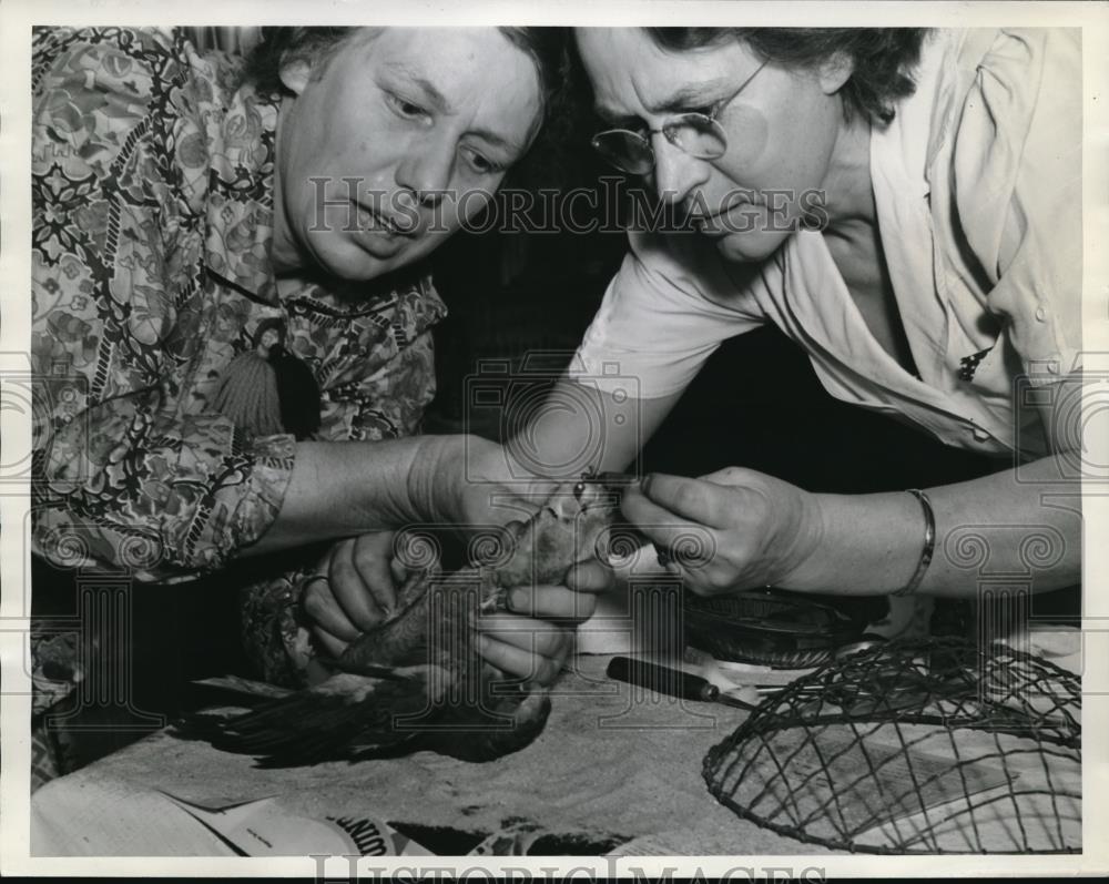 1938 Press Photo Dr Paquette and Dr Lawrence - Historic Images
