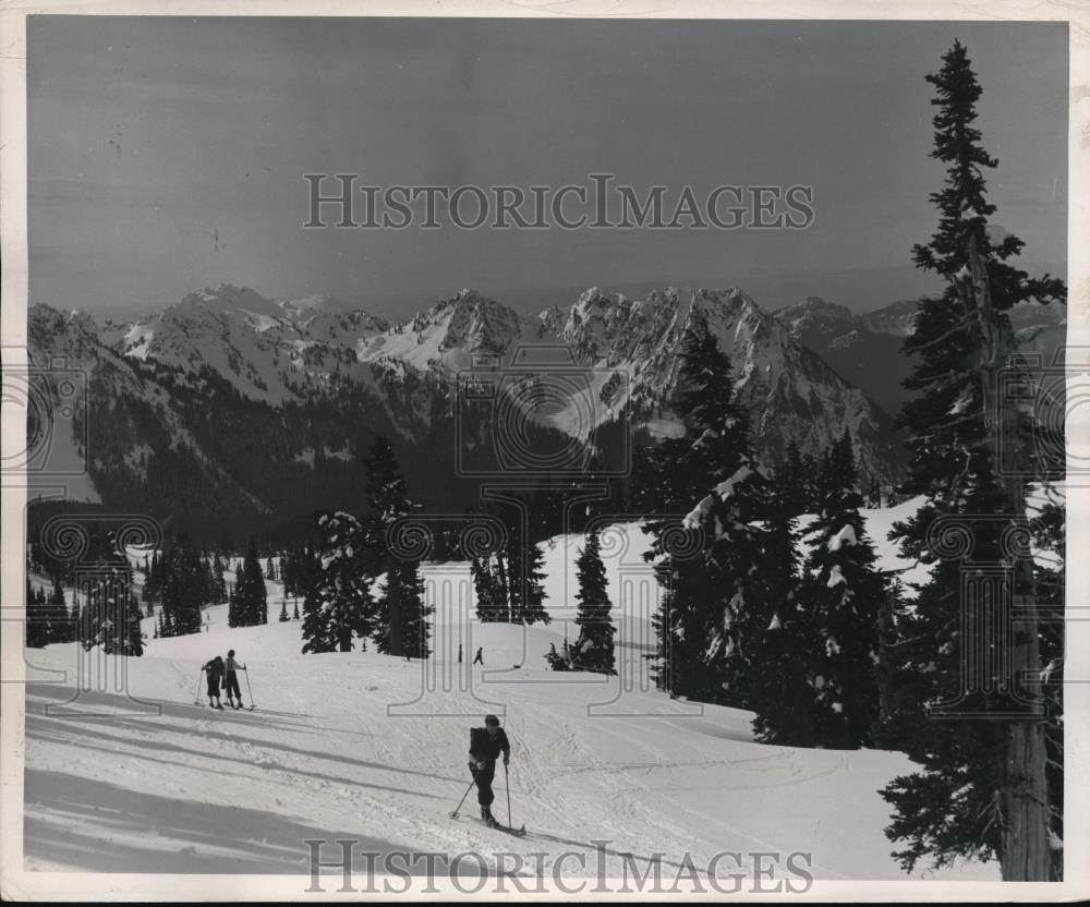 1946 Press Photo National Parks not disturbed by dive bombers &amp; other forms - Historic Images