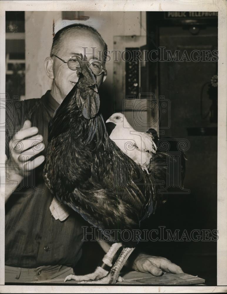 1929 Press Photo Red Rooster and a Bantam - nec47270 - Historic Images