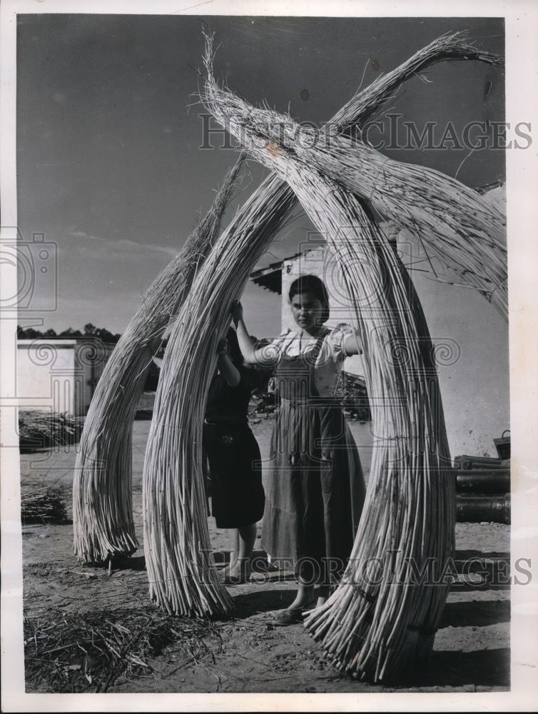 1957 Press Photo Arch of Vima, a species of cane, frames a girl at Caldas Da - Historic Images