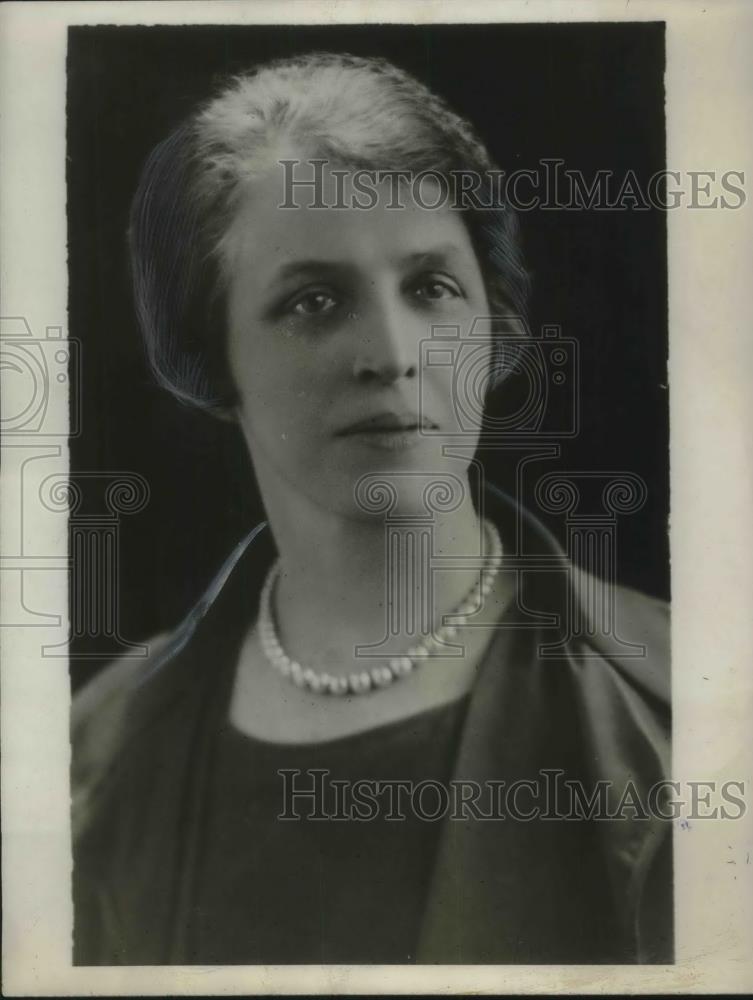 1929 Press Photo Mrs Mudge Parliment Candidate - Historic Images