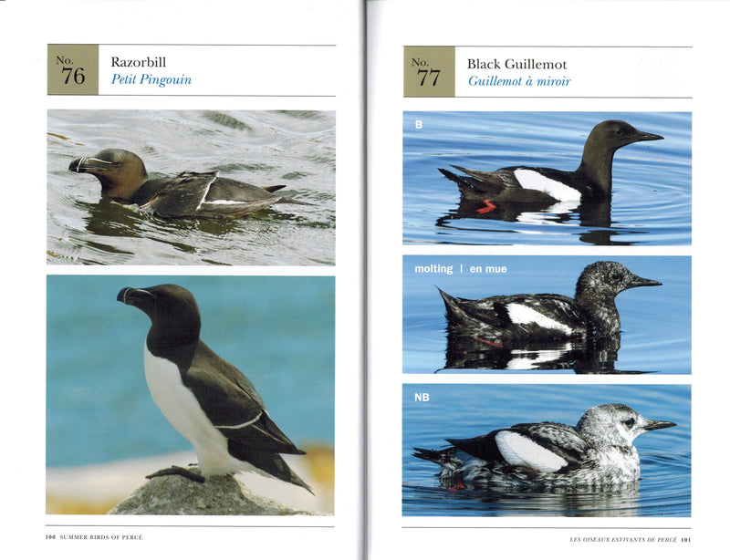 Load image into Gallery viewer, Signed Limited Edition: Summer Birds of Percé/Les Oiseaux Estivants de Percé
